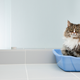 Illustration for article titled Last Call: If only we had this litter-box parasite, wed be so successful right now